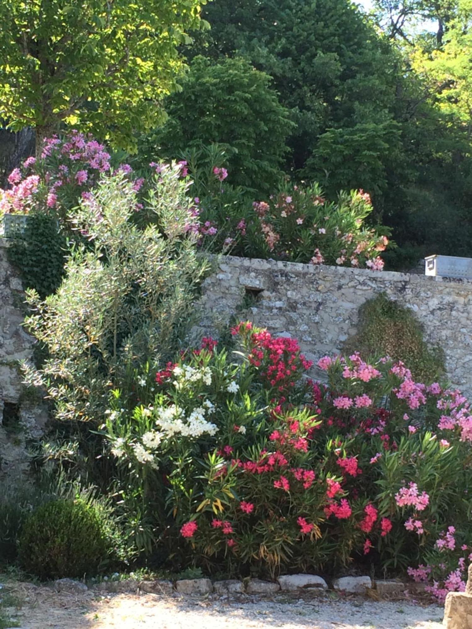 Chateau De Peyrolles Apt Exterior photo